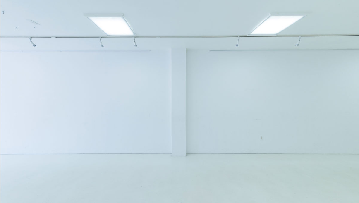 展示作品が映えそうなホワイトスペースの白い壁面